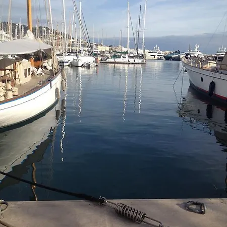 Congress * Cannes